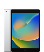 iPad (9.ª generación)