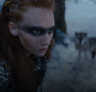 Imagen tomada con modo Cine que muestra una persona en foco en primer plano y un animal en el fondo.