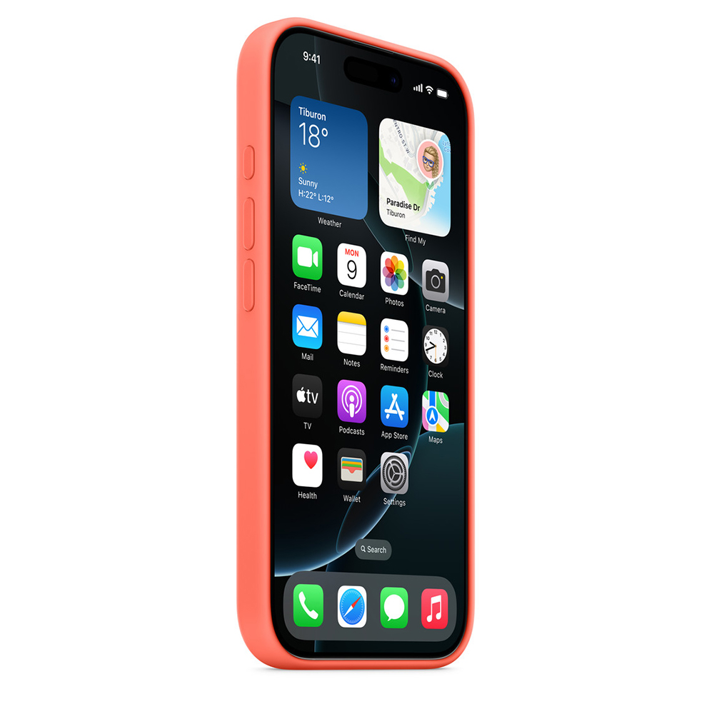 Producto FUNAPP1038
