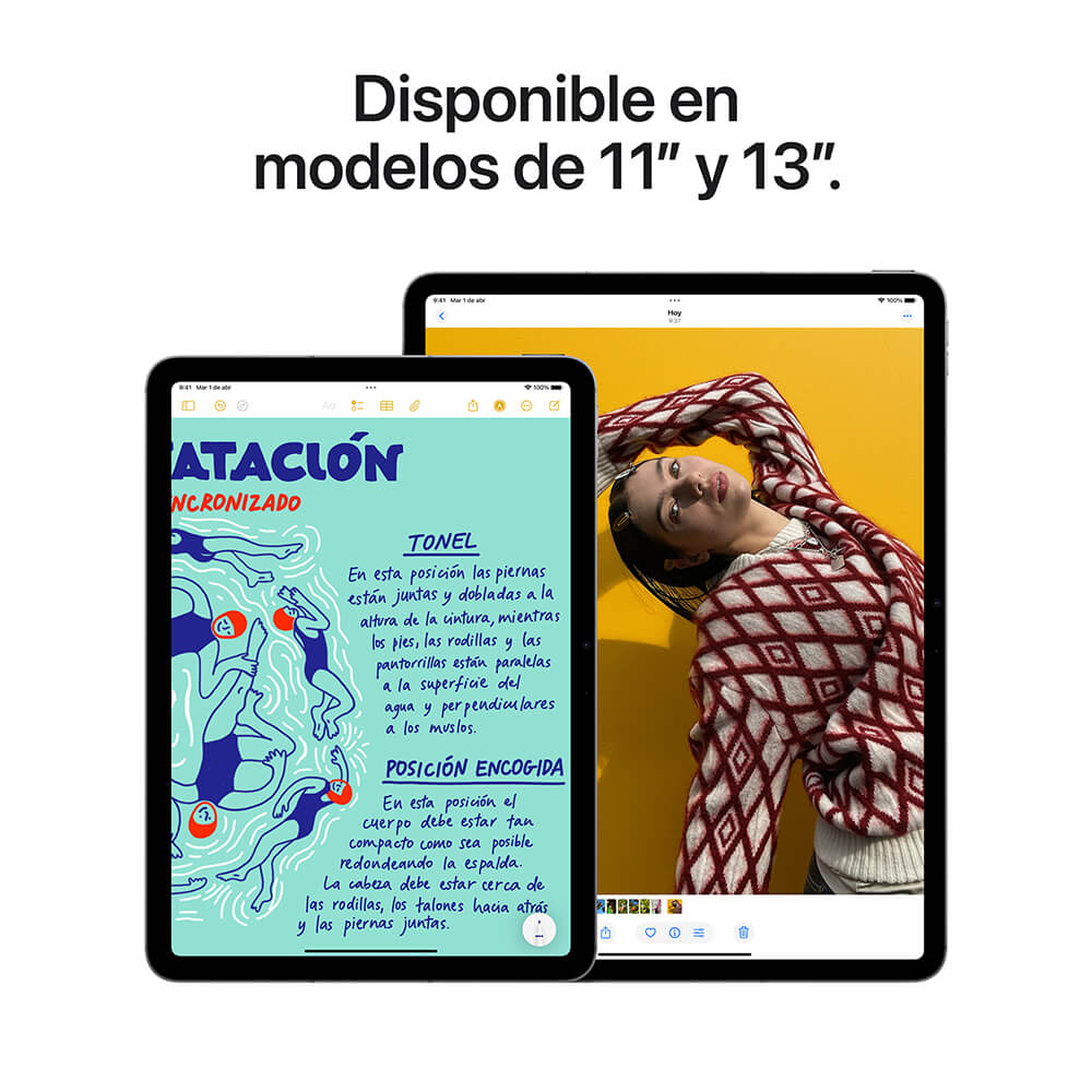Producto IPADAPP863